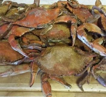 Steamed crabs at Gay's Seafood Photo
