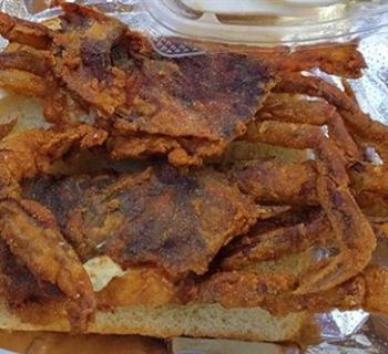 crabs Photo