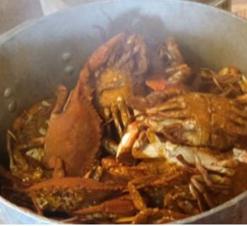 Crabs Photo