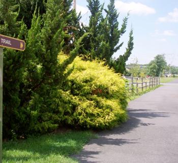 Lower Susquehanna Greenway Heritage Trail Photo