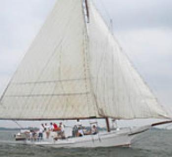 Skipjack Kathryn Photo